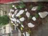 s6300460_small.jpg